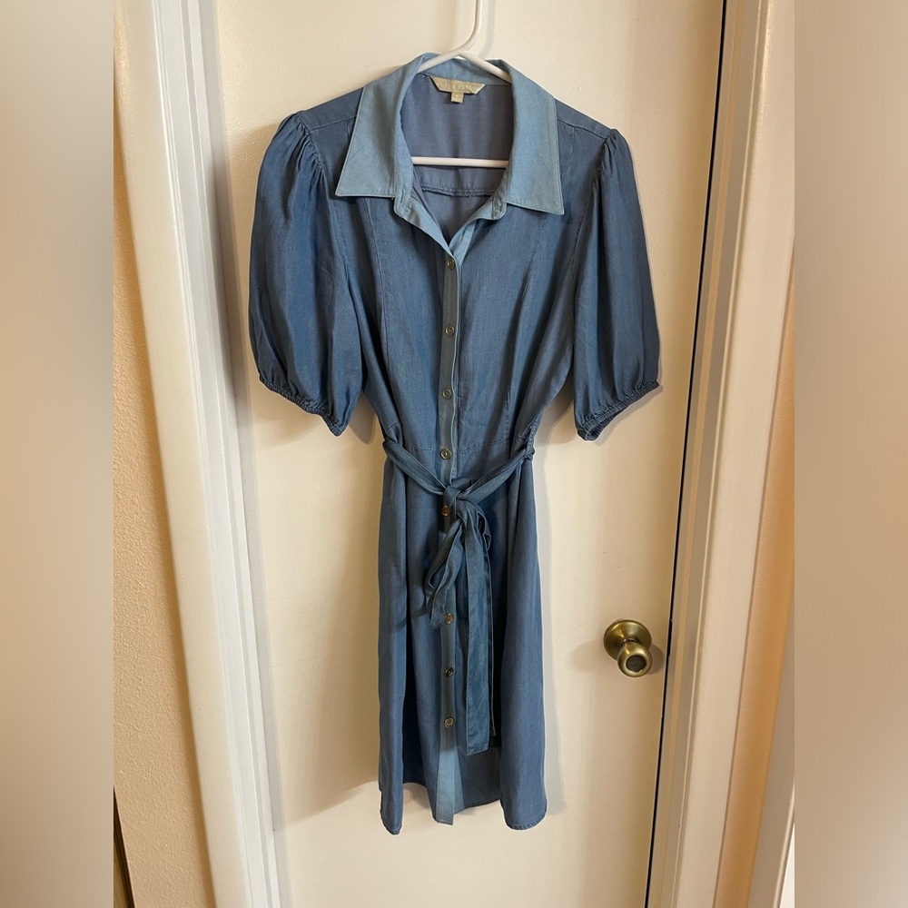 Hope and Harlow tencel  dress size 10 button down puff sleeve collard nwot